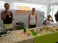 /album/fotogalerie-jarni-vikend-2015-v-penzionu-stare-casy/dscn1703-jpg/